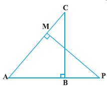 AMP are two right triangles, right angled at B and M