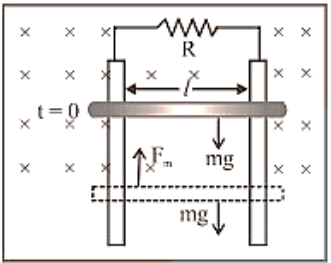 Rod will achieve a constant maximum (terminal) velocity