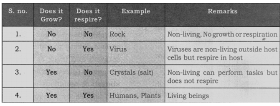 Ans Table