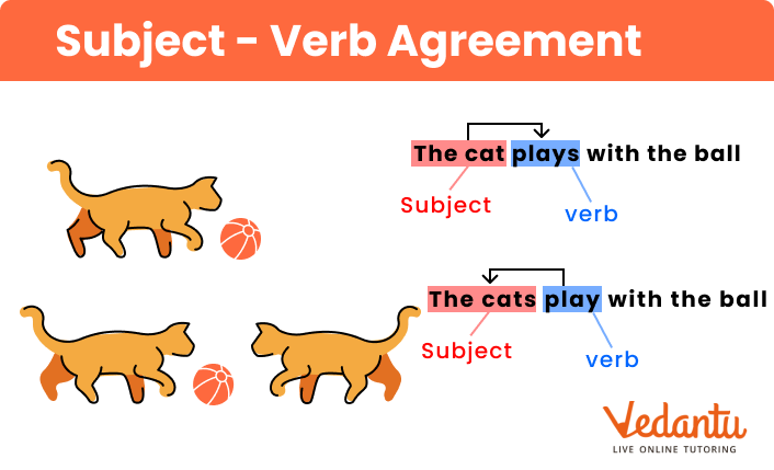 explanation of the Subject Verb Agreement