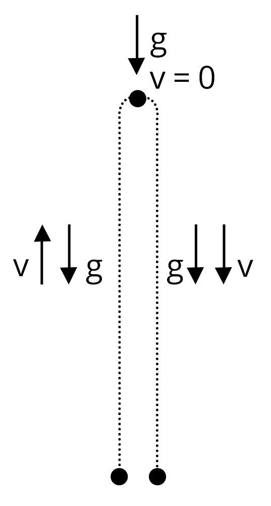 Direction of velocity and acceleration due to gravity when