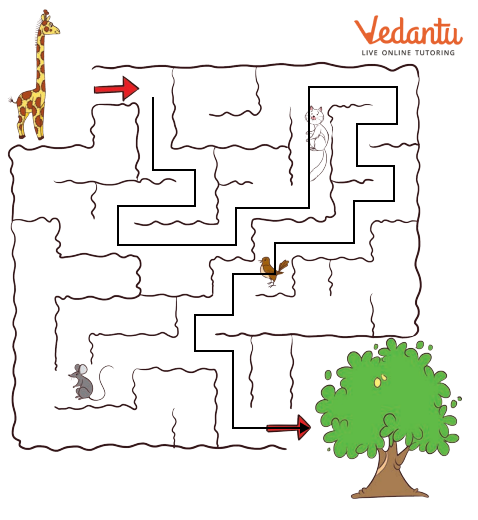 Solution for Path for hungry girafee to reach the tree