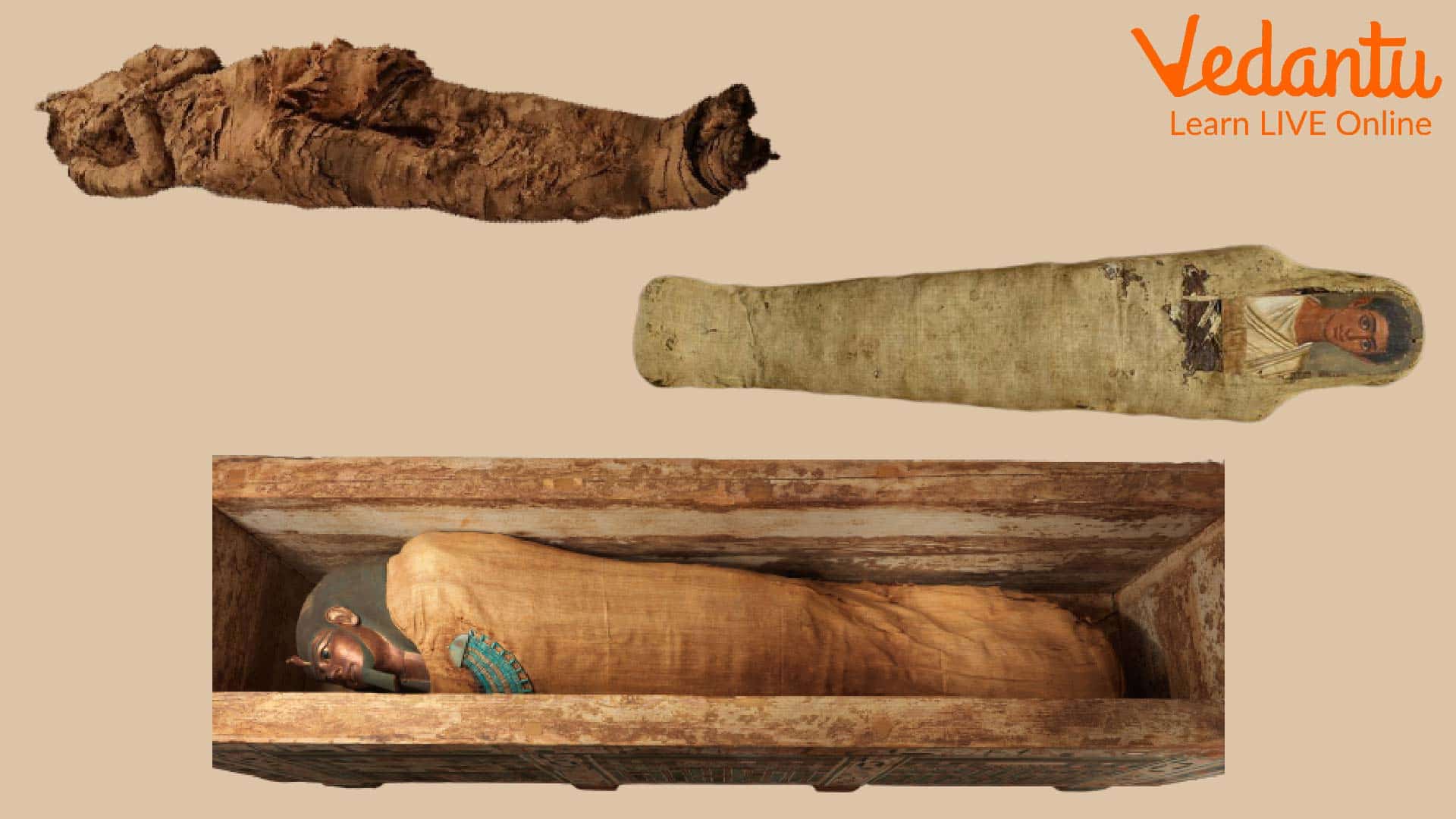 Mummification Step wise Guide To How Mummies Were Made