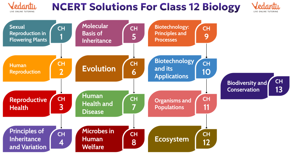NCERT Solutions for Class 12 Biology Updated Syllabus