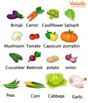 vegetables name with picture for kids