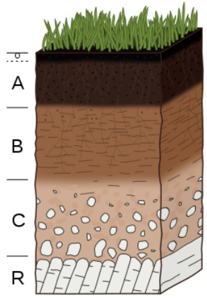Soil profile
