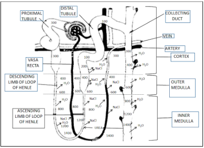 current mechanism