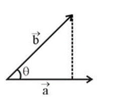 Dot product of vectors.