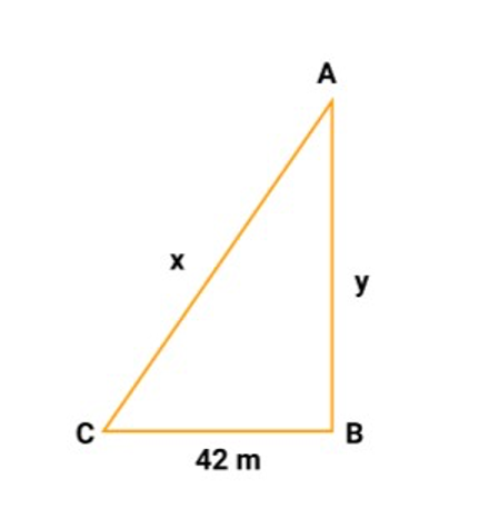 The measure of one side of a right triangle is 42m