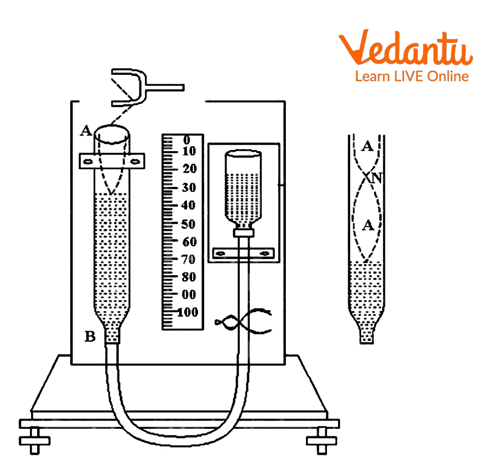 Experimental Setup