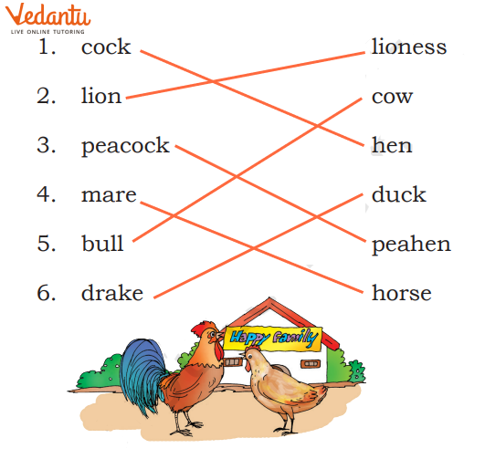 Class 3 Chapter 7 Match the following