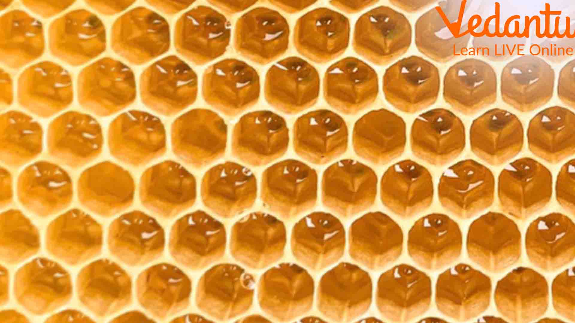 The Astonishing Math Behind Honeycomb