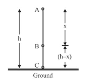 Illustration of the Law of Conservation of Mechanical Energy