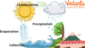 Sources of Water Diagram