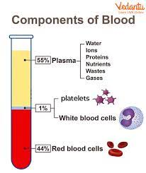 composition of blood