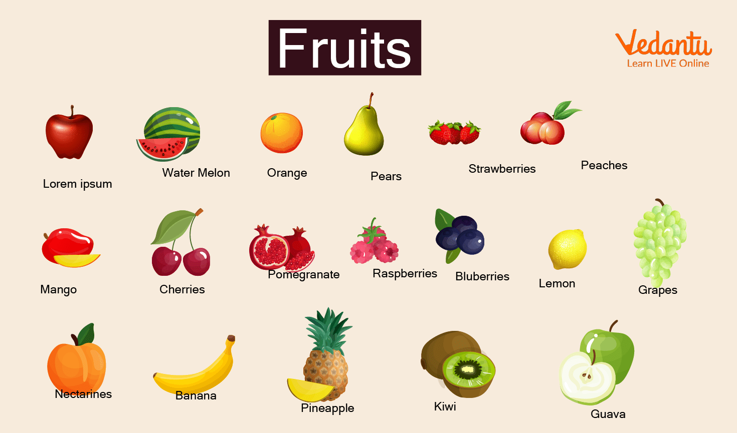 Vegetables And Fruits Names Learn With Examples And Pictures For Kids