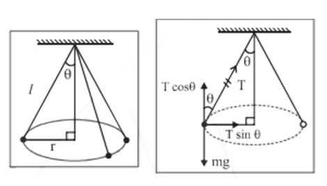 Conical Pendulum