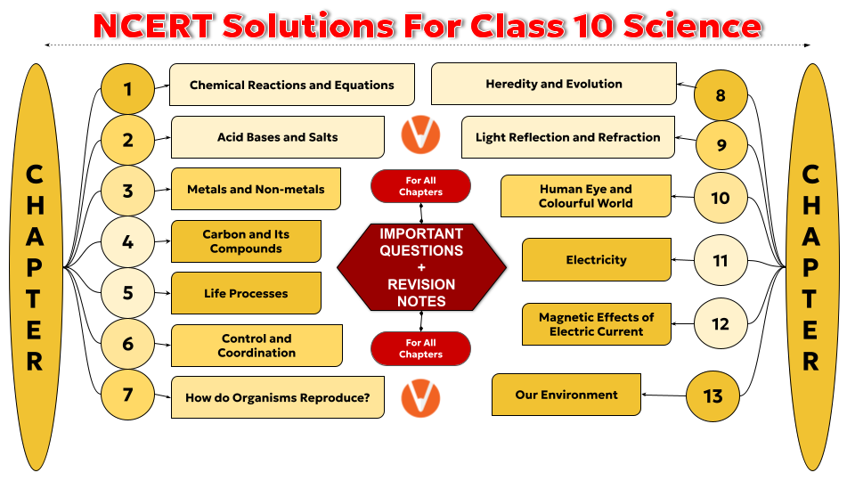 NCERT Science Class 10 syllabus