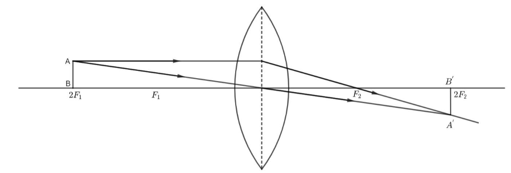 The ray diagram representing the formation of the image by the lens