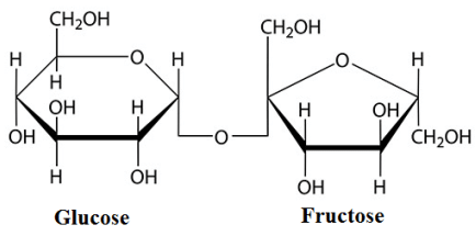 carbohydrates structure - MONOSACCHARIDE