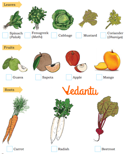 Parts of plants