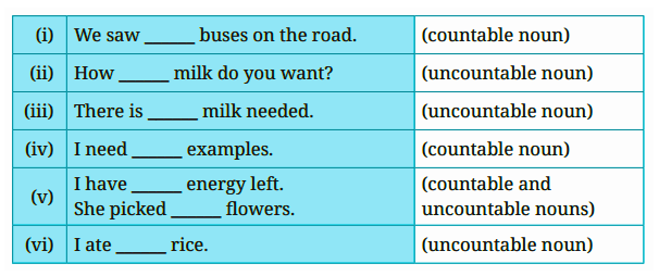 fill in the blanks with quantifiable nouns question