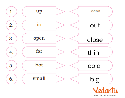 Class 2 Finding opposite words answer