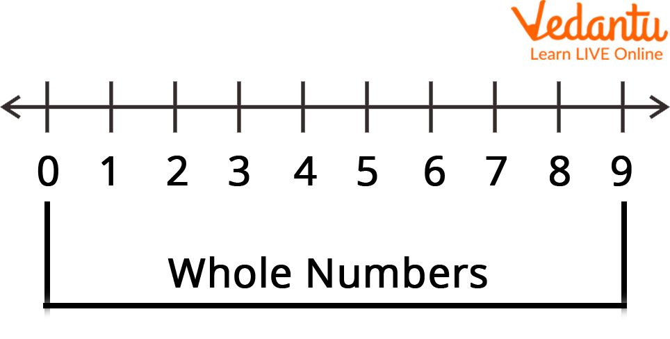 Representation On A Number Line Learn And Solve Questions