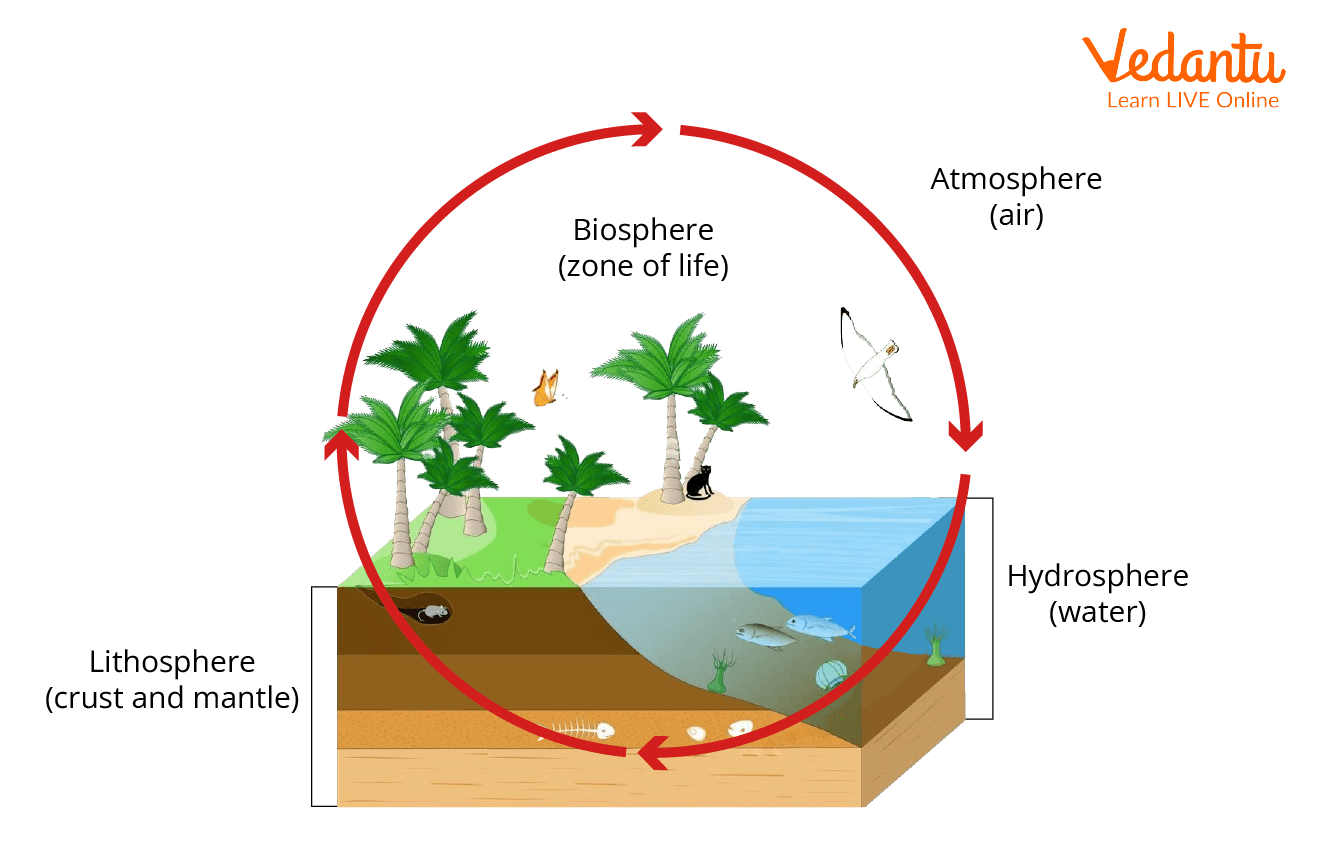 types of environment