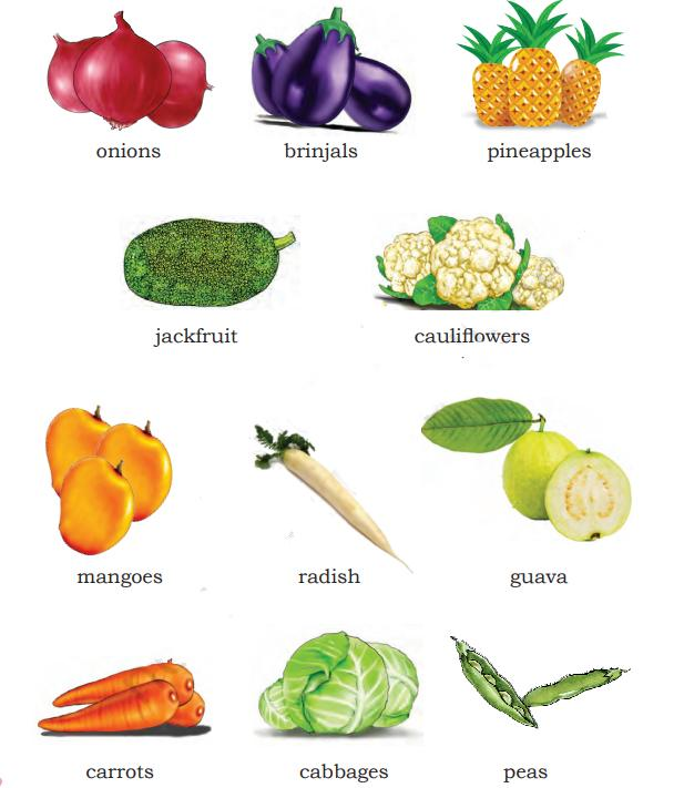 Names of Vegetables