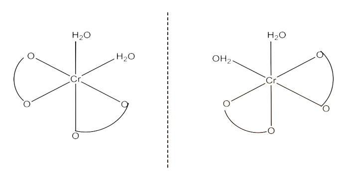 type of ligand and it is a bidentate ligand