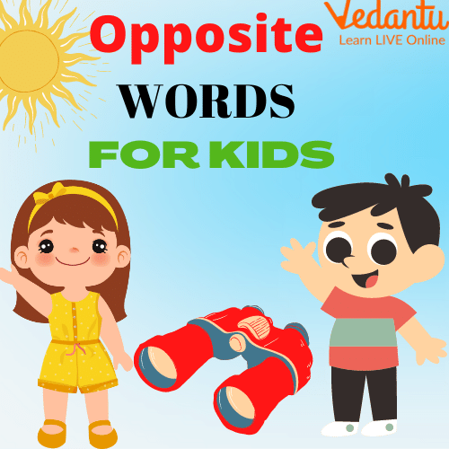 Opposite Words In English For Class 3