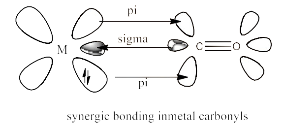 The nature of bonding in metal carbonyls