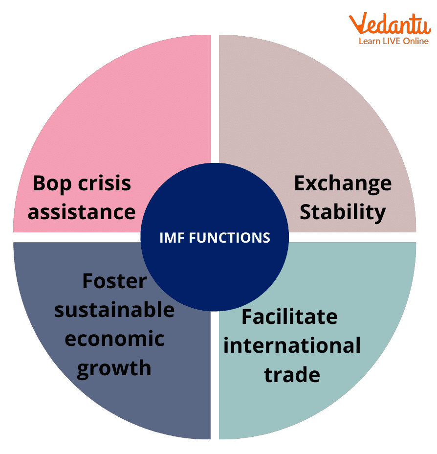 Functions of IMF