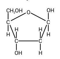 Deoxyribose