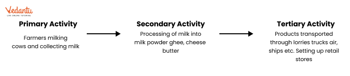 Flow Chart of interdependence between primary, secondary, and tertiary sectors