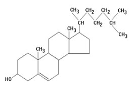 Cholesterol