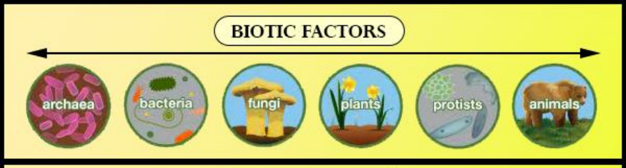 Biotic Factors