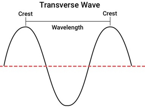 Transverse Waves