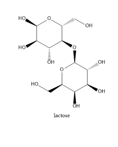 carbohydrates structure - DISACCHARIDE