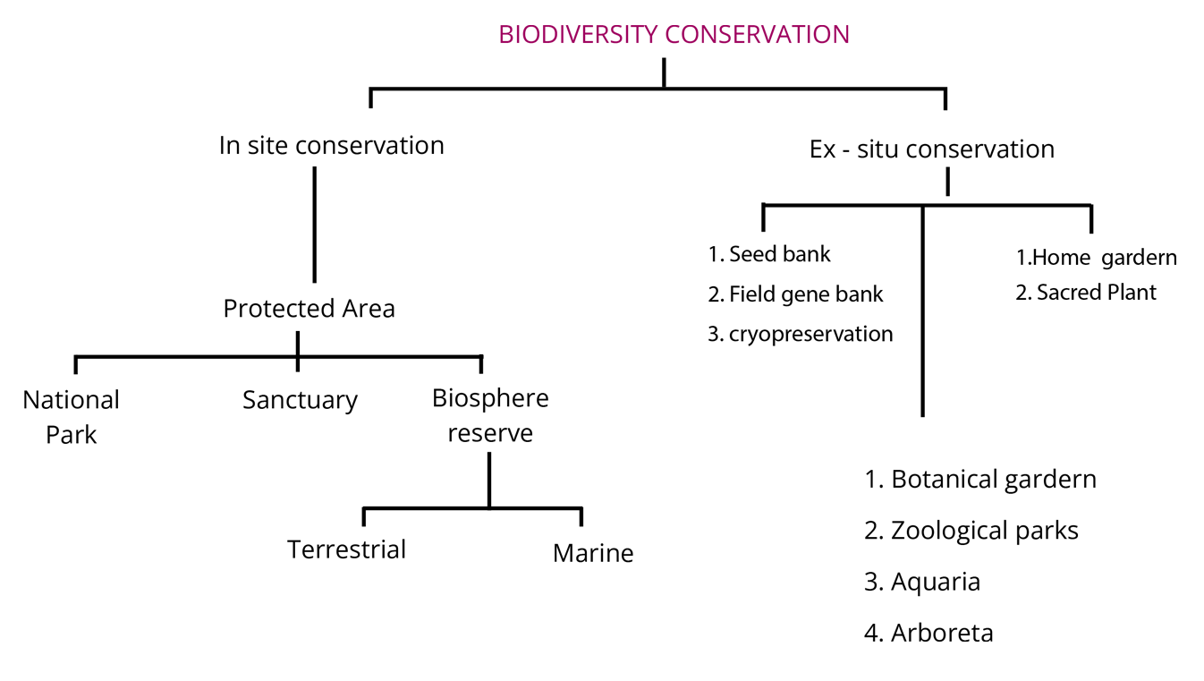 Biodiversity conservation