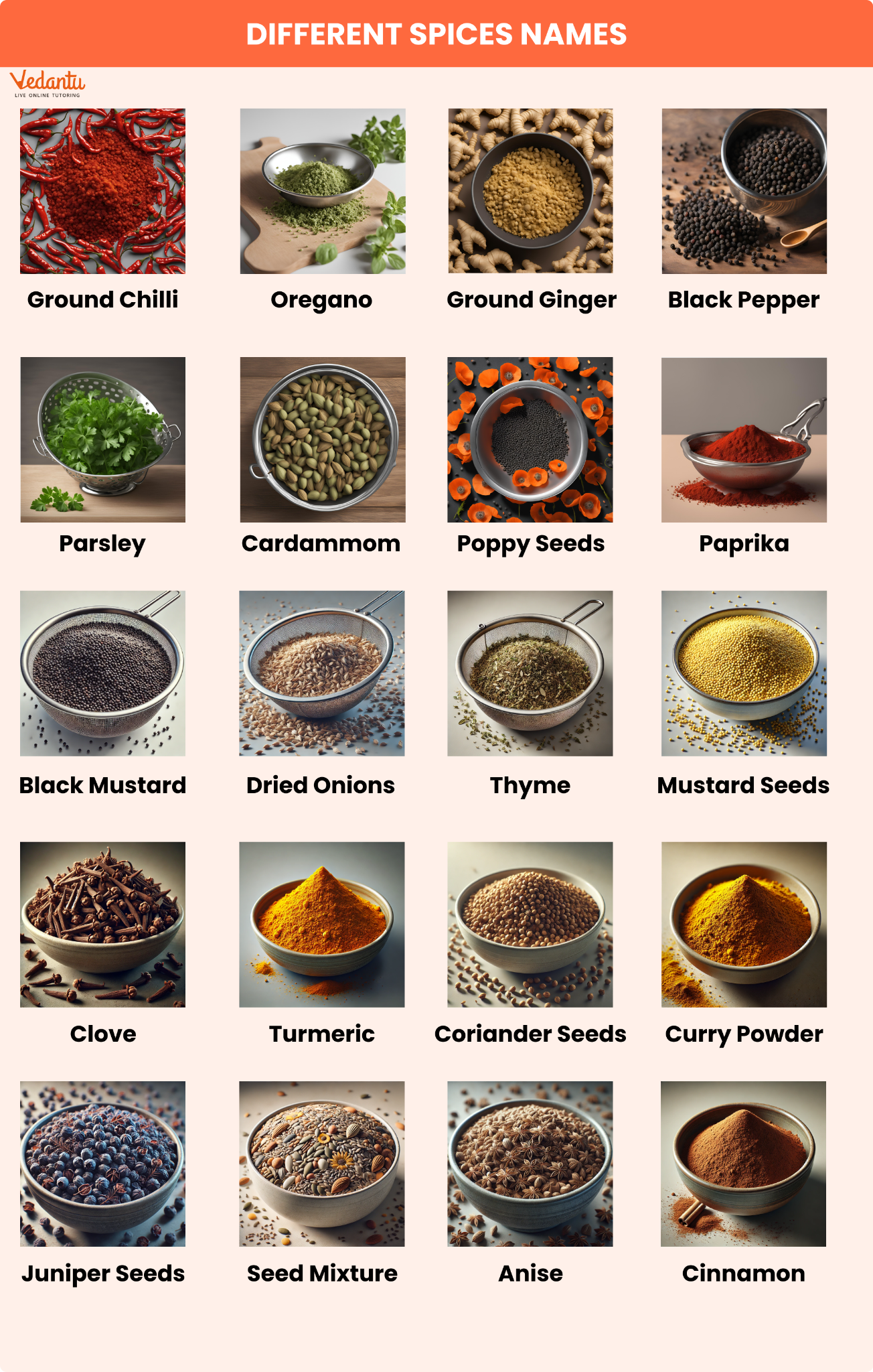 Chart Indian Spices list with names