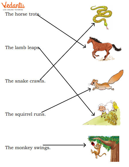 Match the following Answer