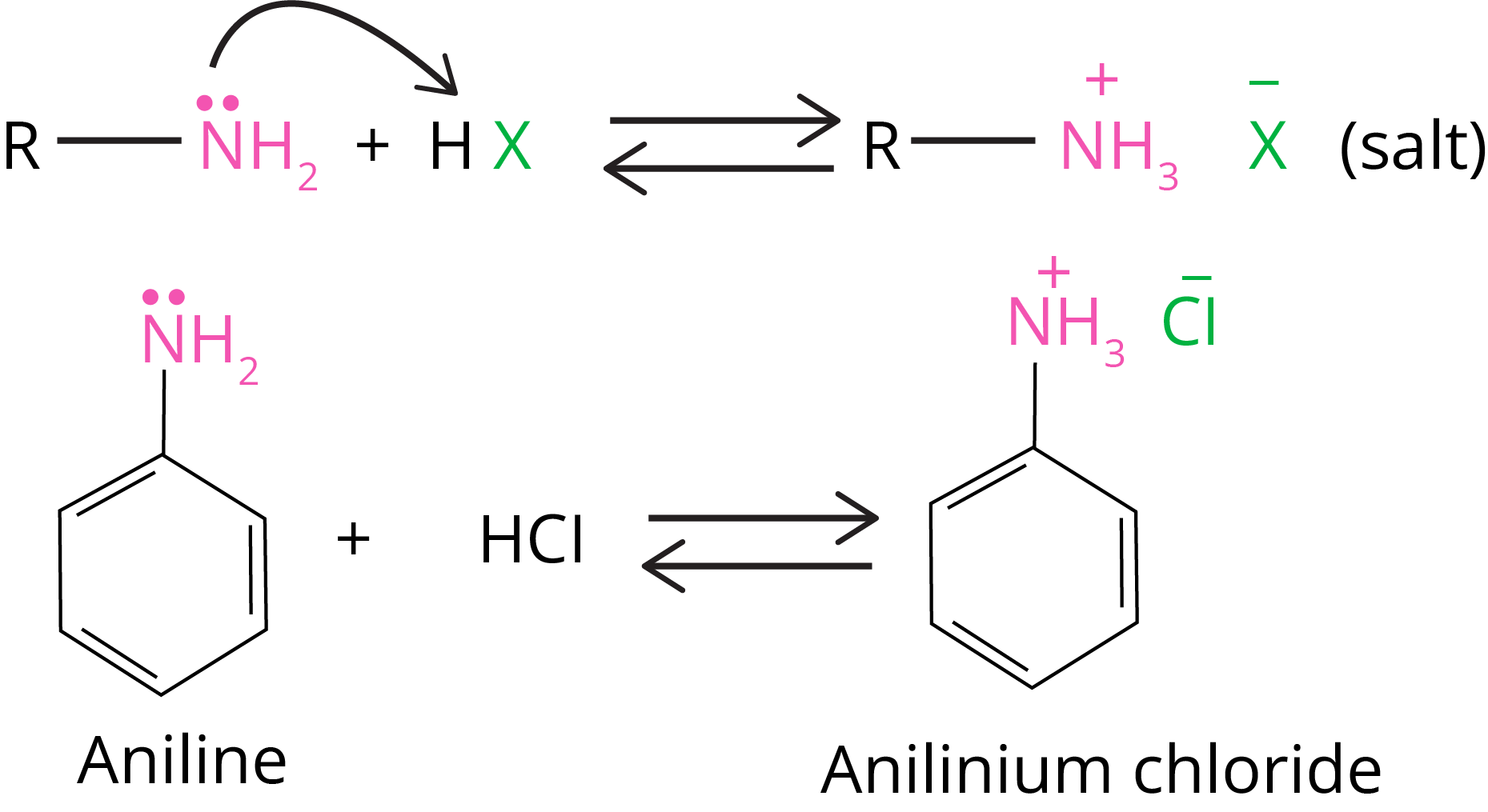 Amine salts regenerate the parent amine when treated with a base such as NaOH.