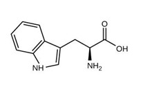 Tryptophan