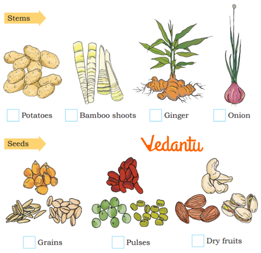 Grains and Dry Fruit