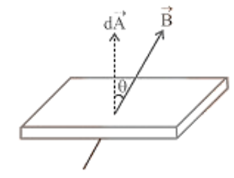 Magnetic Flux