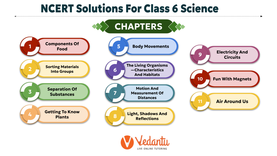 NCERT Class 6 Science syllabus for better understanding