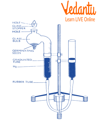 Ganong’s respirometer