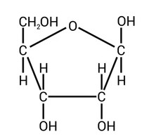 Ribose